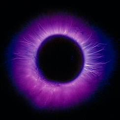 Aurabild von Bettina Maria Haller